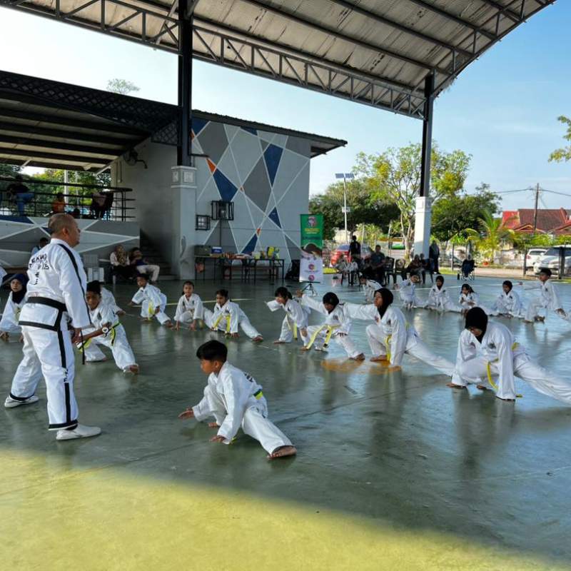 kelas taekwondo johor bahru