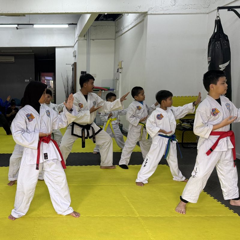 kelas taekwondo wangsa maju kl