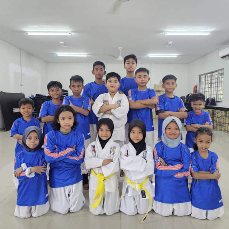 kelas taekwondo shah alam